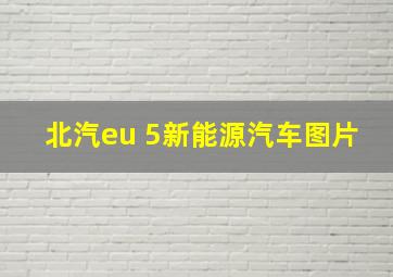 北汽eu 5新能源汽车图片